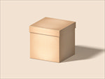 方盒 品牌包装样机