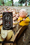 秋分