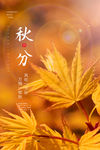 秋分