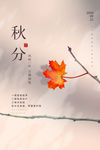 秋分