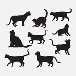猫剪影