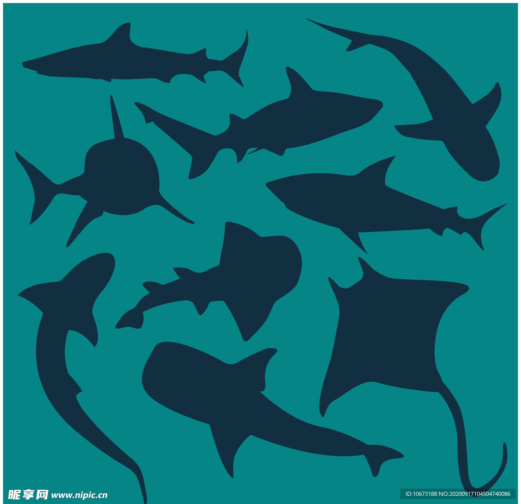 海洋生物剪影