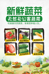 天然无公害蔬菜海报