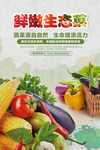鲜嫩蔬菜海报