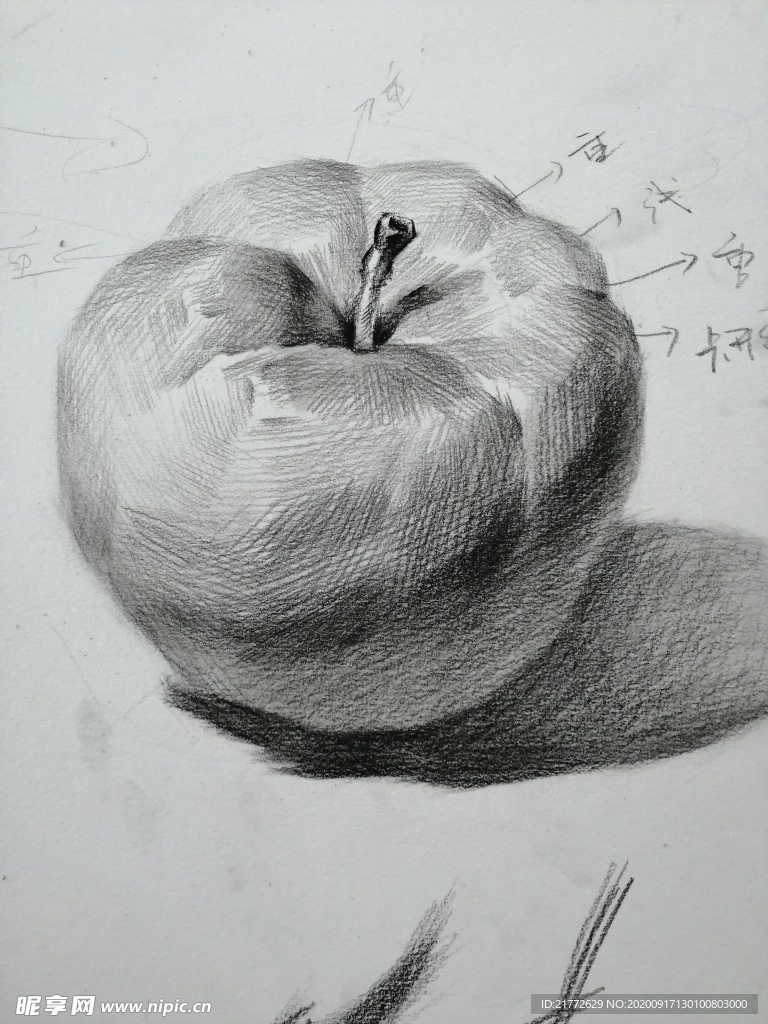 素描苹果