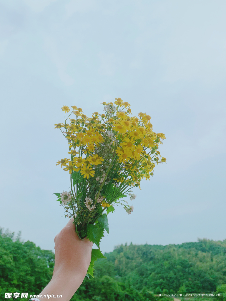 小野花