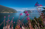 山水风景