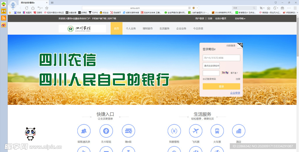 四川农信网页设计