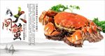 大闸蟹美食海报