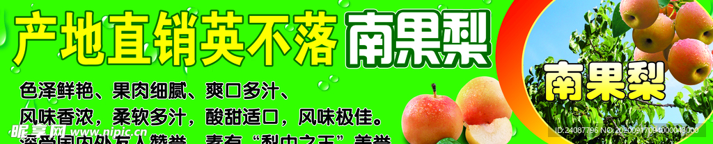 英不落南果梨