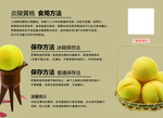 黄桃
