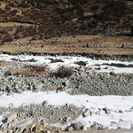 荒山雪地