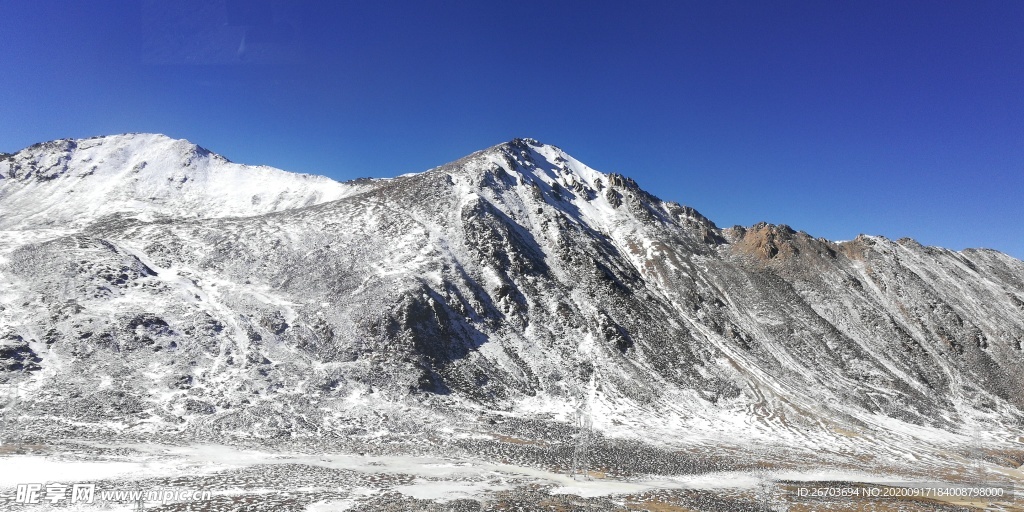 小松树风景