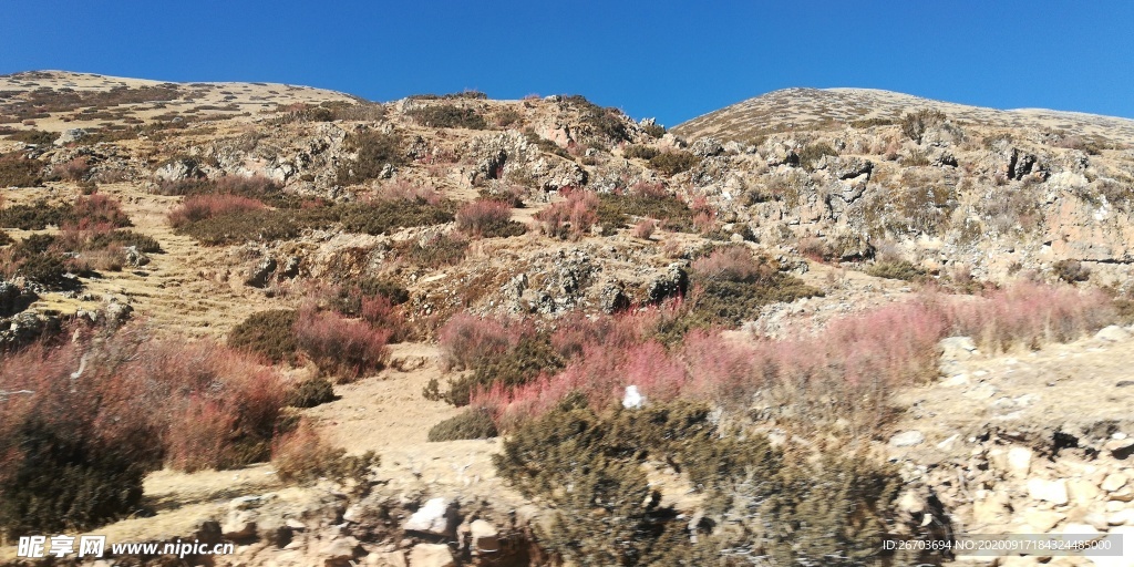 大山怪石红色野草