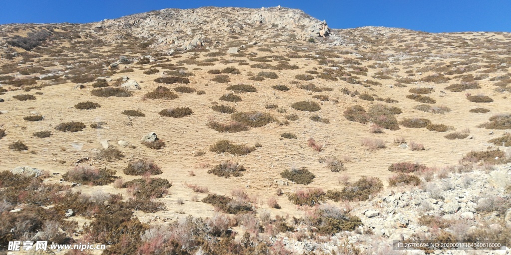 石山草地