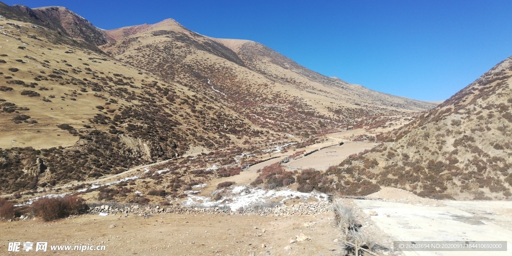 高山野草风景