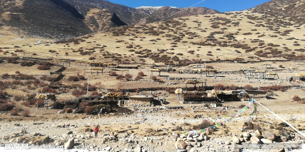 荒山野草风光图片