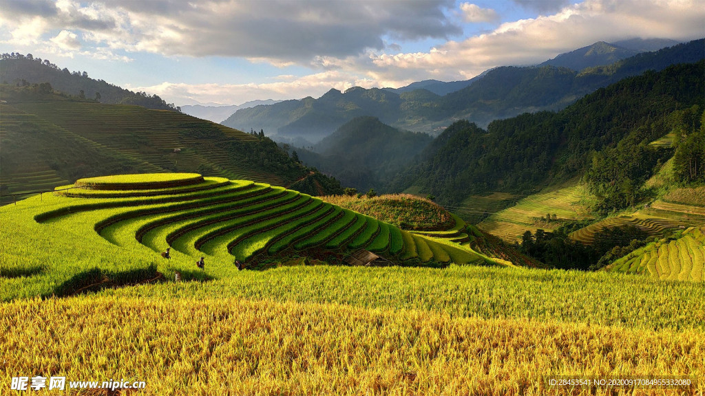 风景