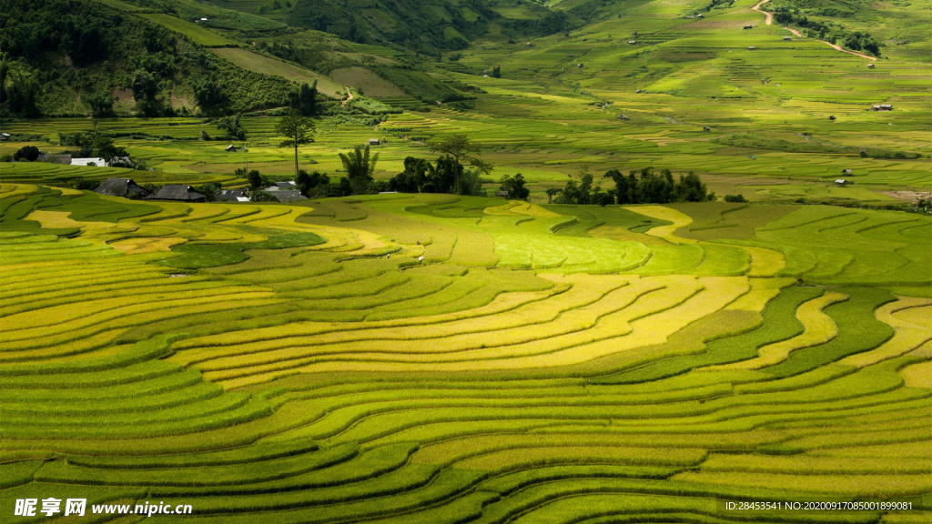 风景