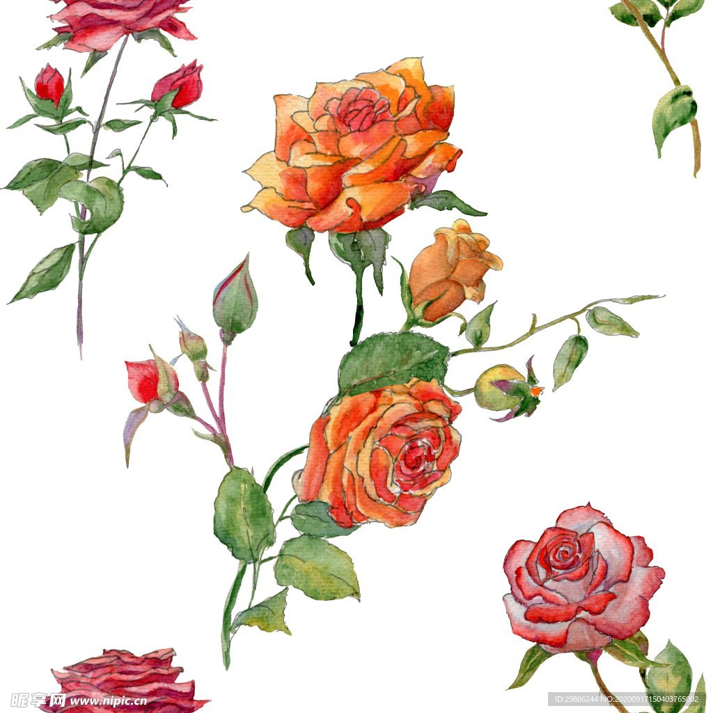 花卉