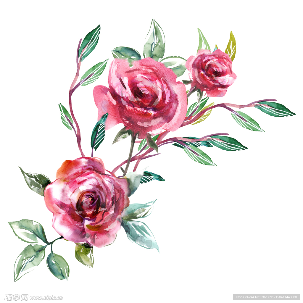 花卉
