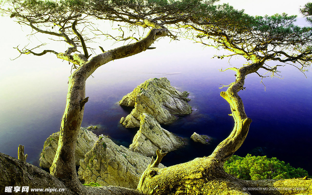 风景