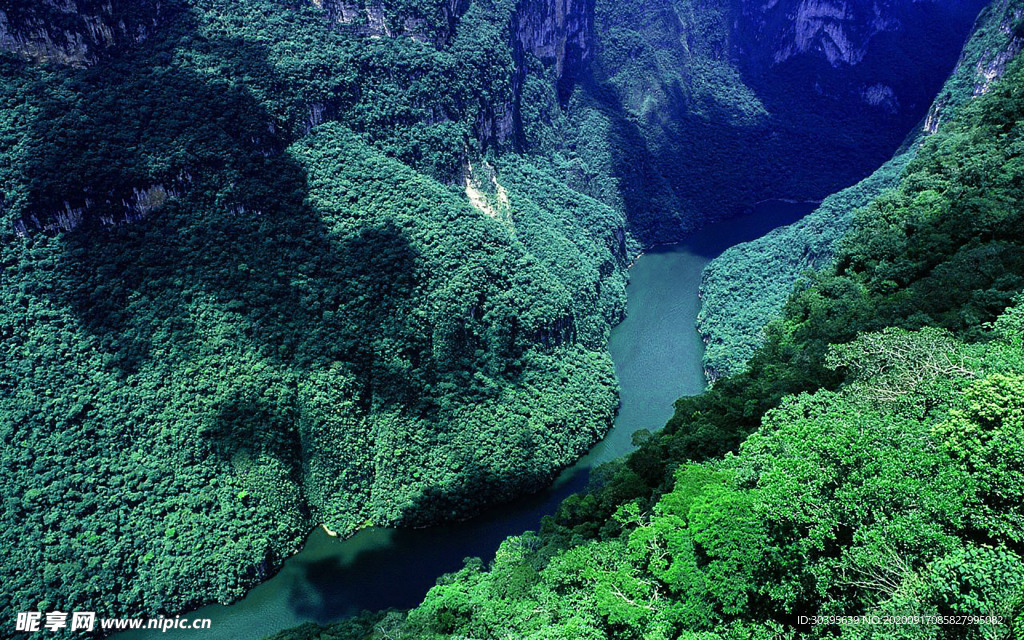 风景