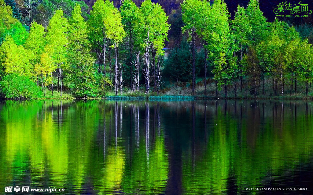 风景