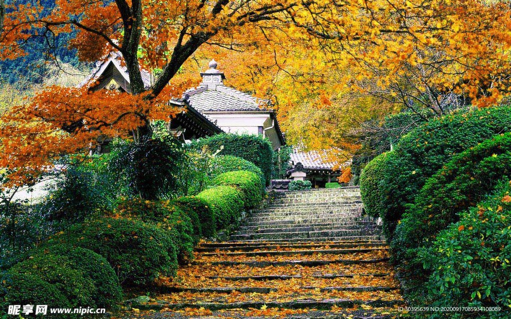 风景
