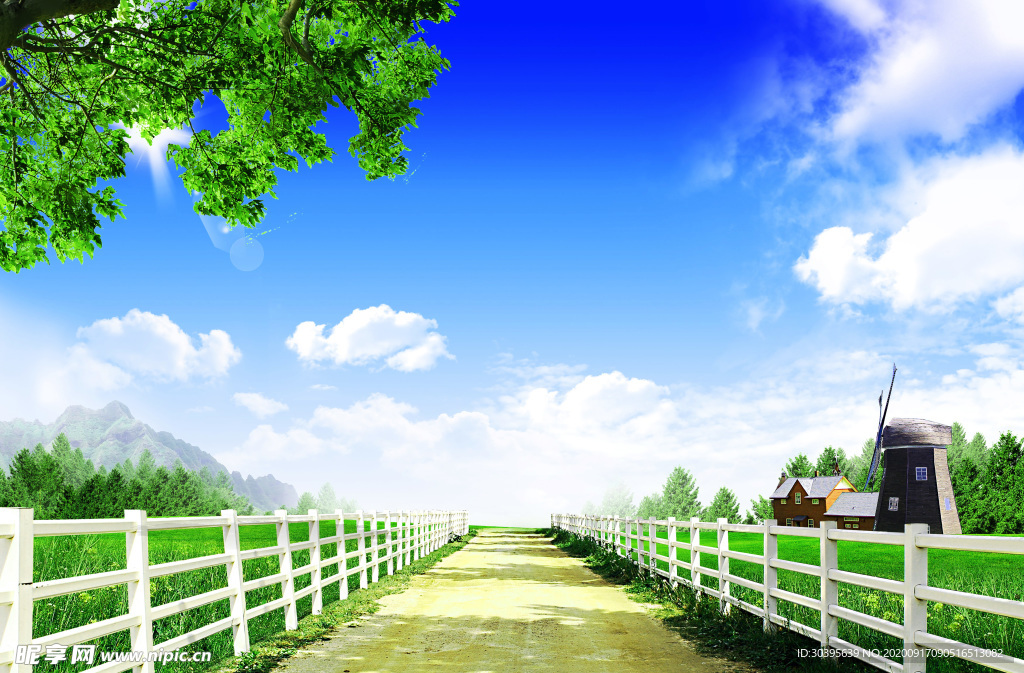 风景