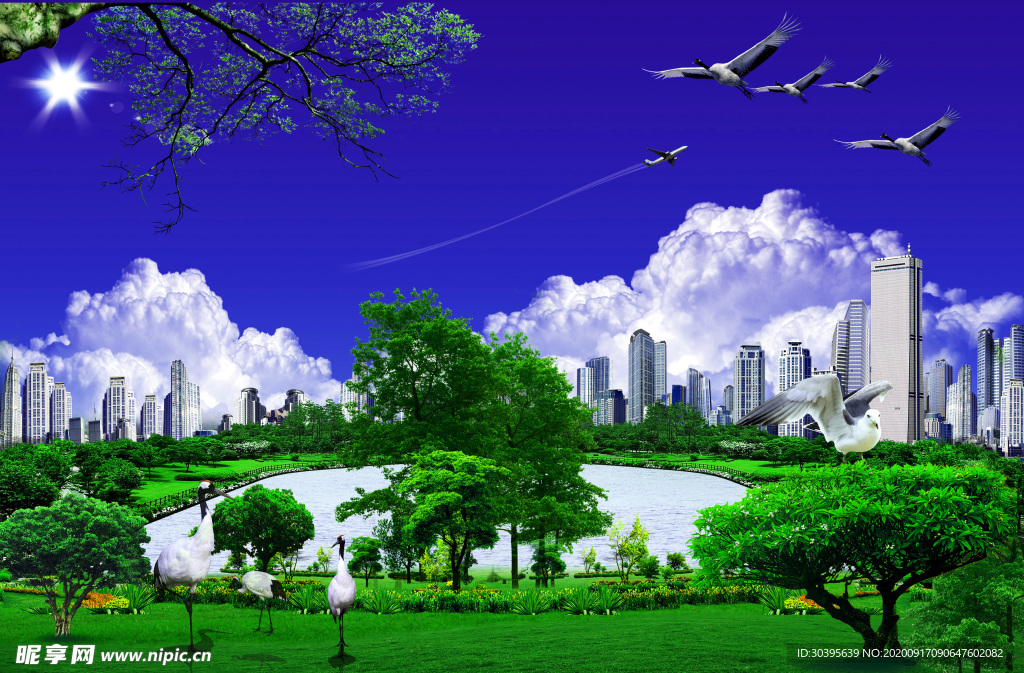 风景