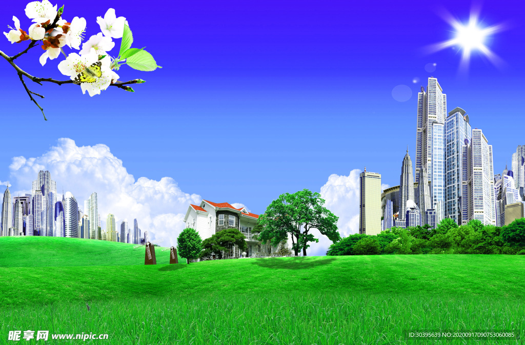 风景