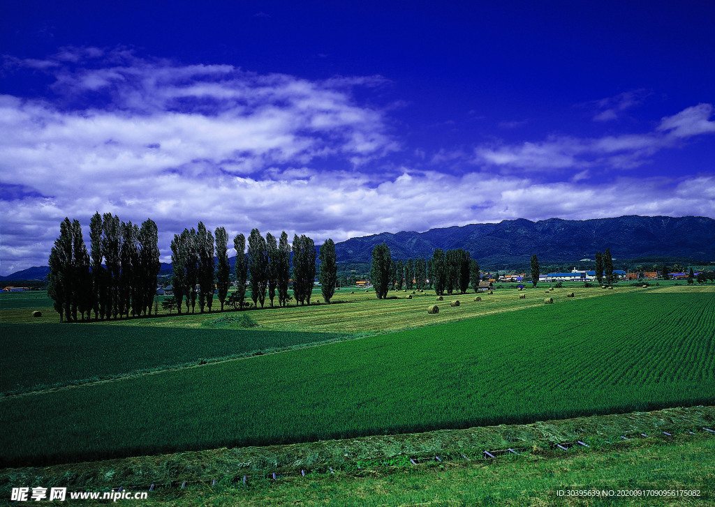 风景