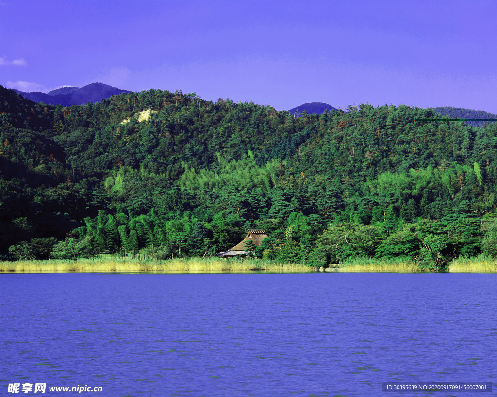 风景