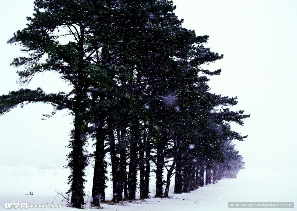 风景