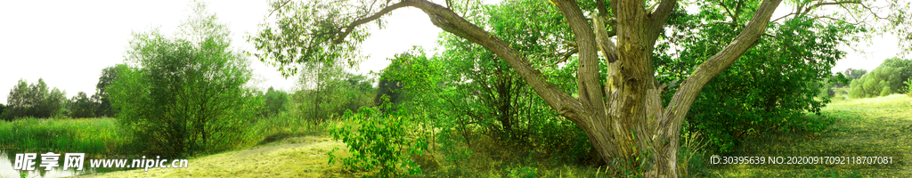 风景