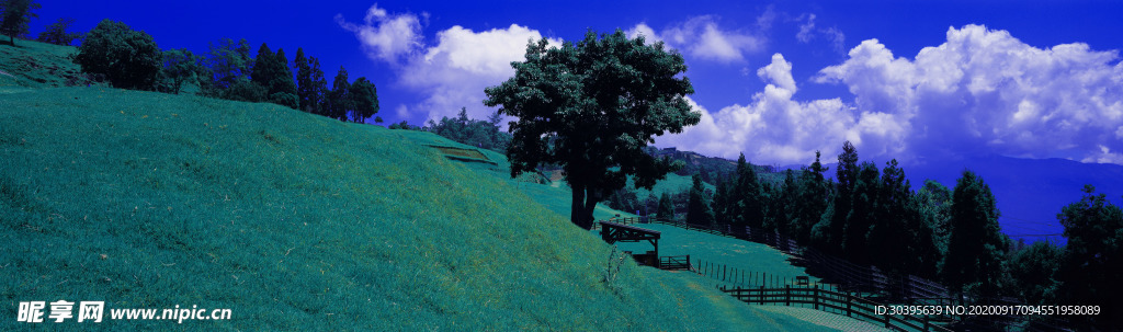 风景