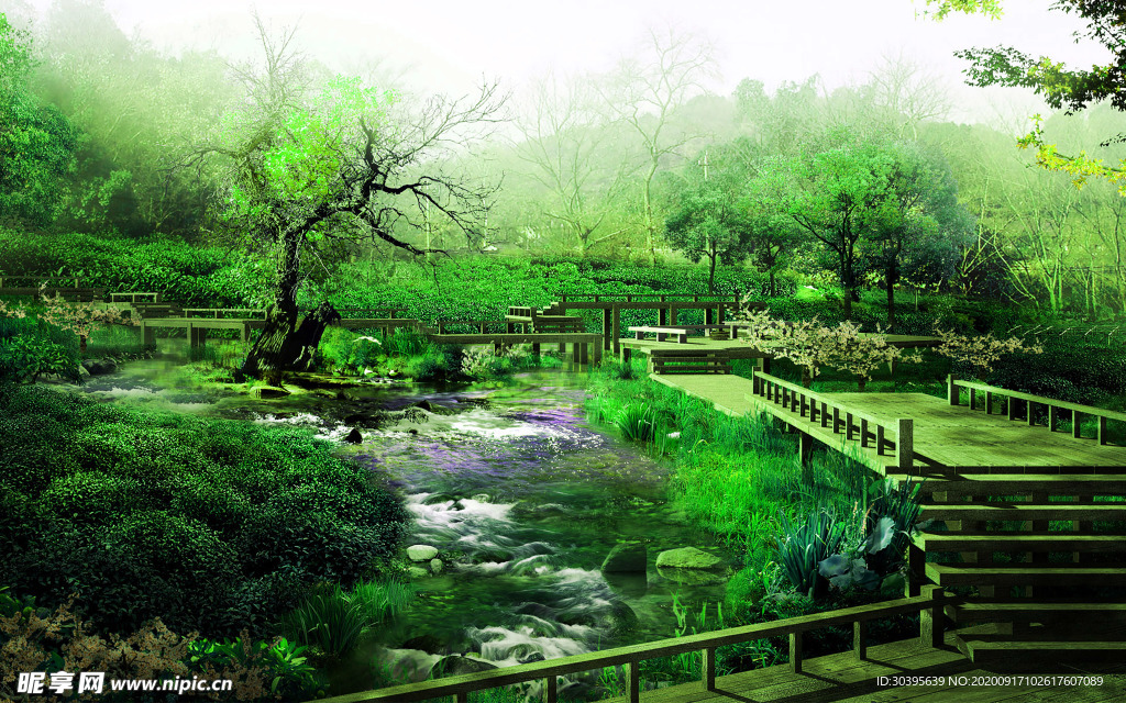 风景