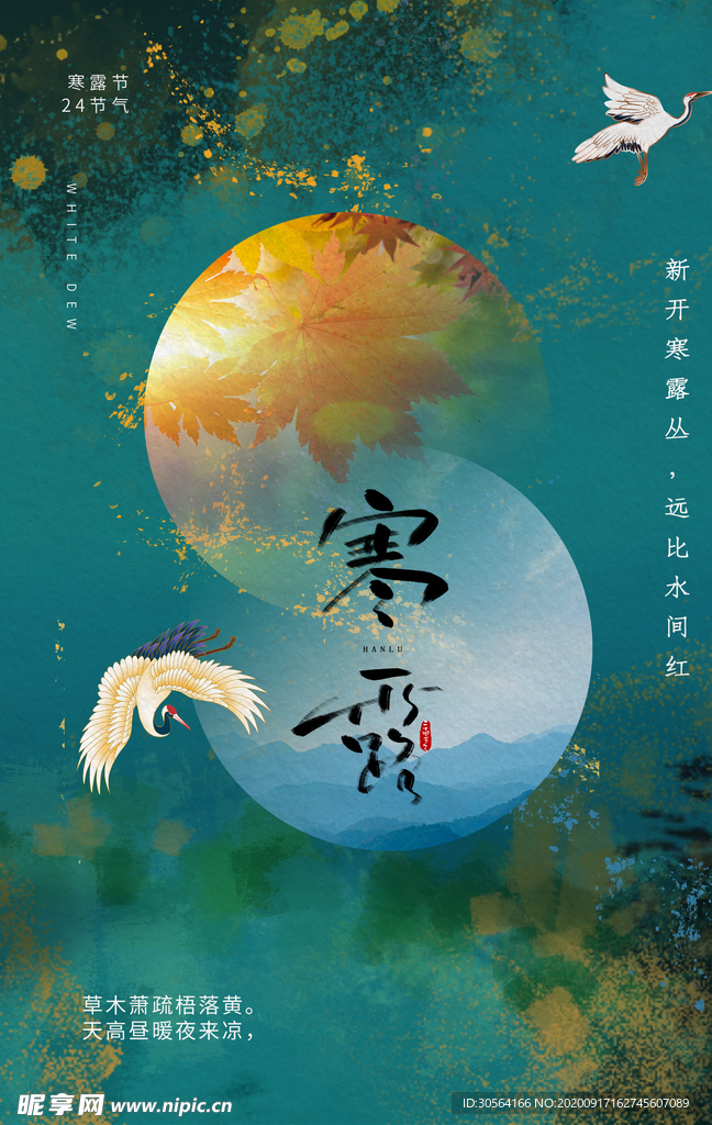 寒露节气活动宣传海报素材