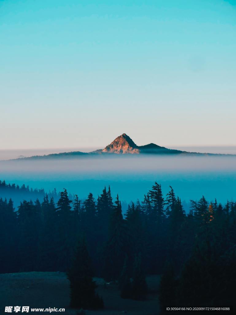 森林山峰云海云雾背景素材