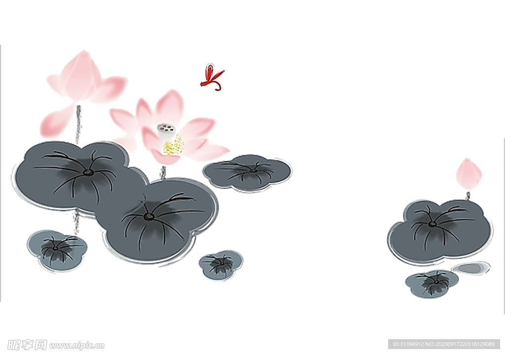 荷花