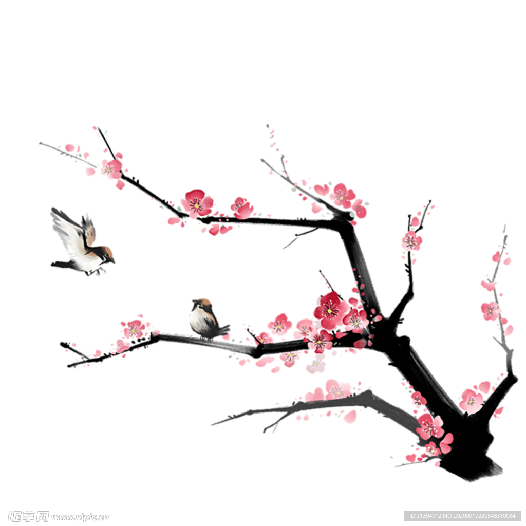 梅花