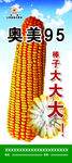 玉米展架