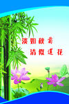 淡如秋菊 清似莲花