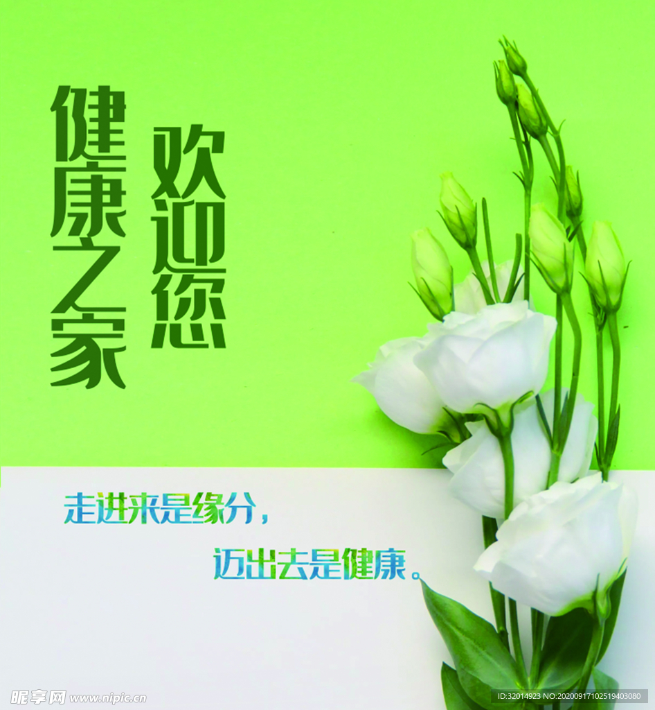 植物 绿色