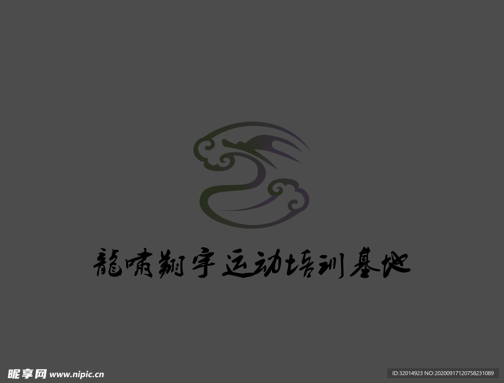 龙啸翔宇运动培训logo