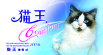 中国风包装