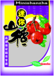 中国风包装