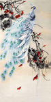 工笔画孔雀