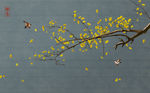 花鸟图